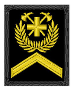 Insignes de grade Insignes de grade