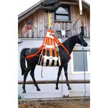 Harnais pour le sauvetage d’animaux de grande taille