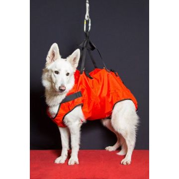 Harnais pour chiens