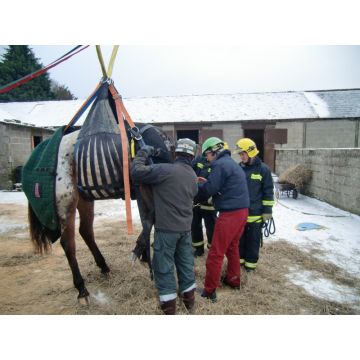 Rettungsgeschirr Großtiere