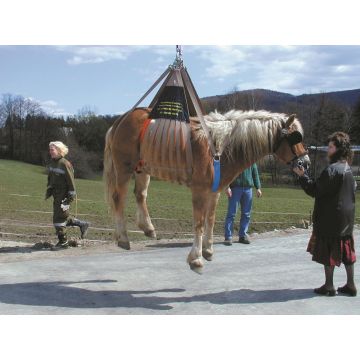 Pferde-Hebegeschirr