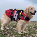 Gilet de sauvetage pour chiens 