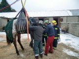 Rettungsgeschirr Großtiere