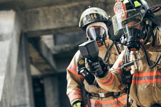 FLIR identiFINDER® R425-GN