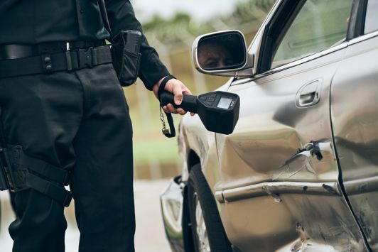 FLIR identiFINDER® R425-GN