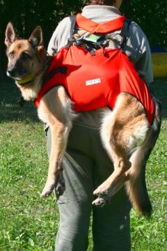 Hundetragegeschirr