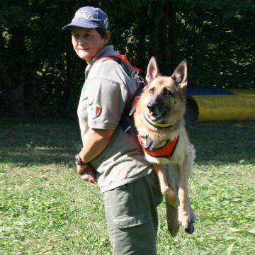 Hundetragegeschirr