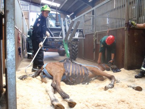 Rettungsgeschirr Großtiere
