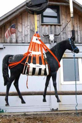 Harnais pour le sauvetage d’animaux de grande taille