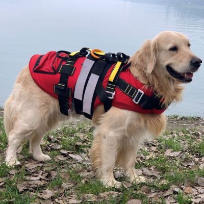 Gilet de sauvetage pour chiens "Delphin"