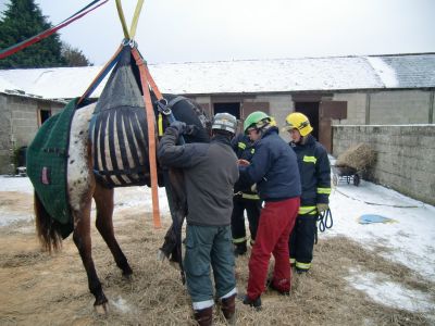 Rettungsgeschirr Großtiere